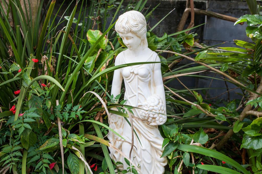 Elindale House Bed & Breakfast Lismore Exteriér fotografie
